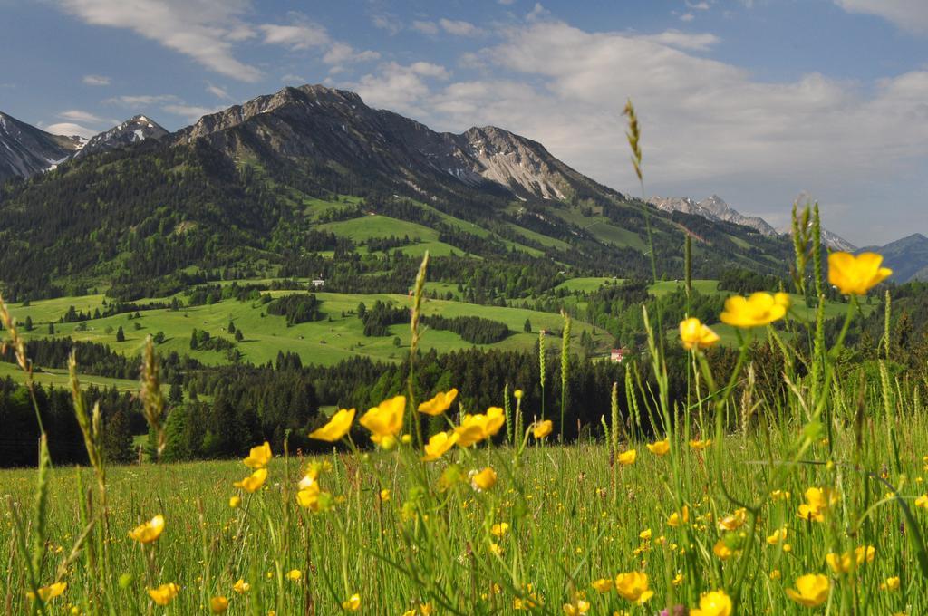 Sonnenpark, Ihr Bett Im Allgaeu Bad Hindelang Kültér fotó